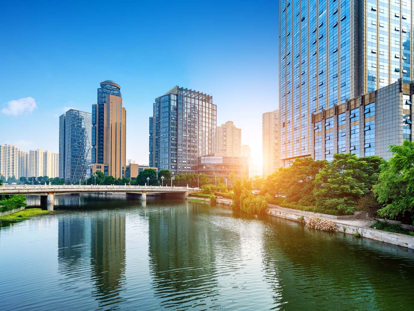 Maximize return with future-focused technology