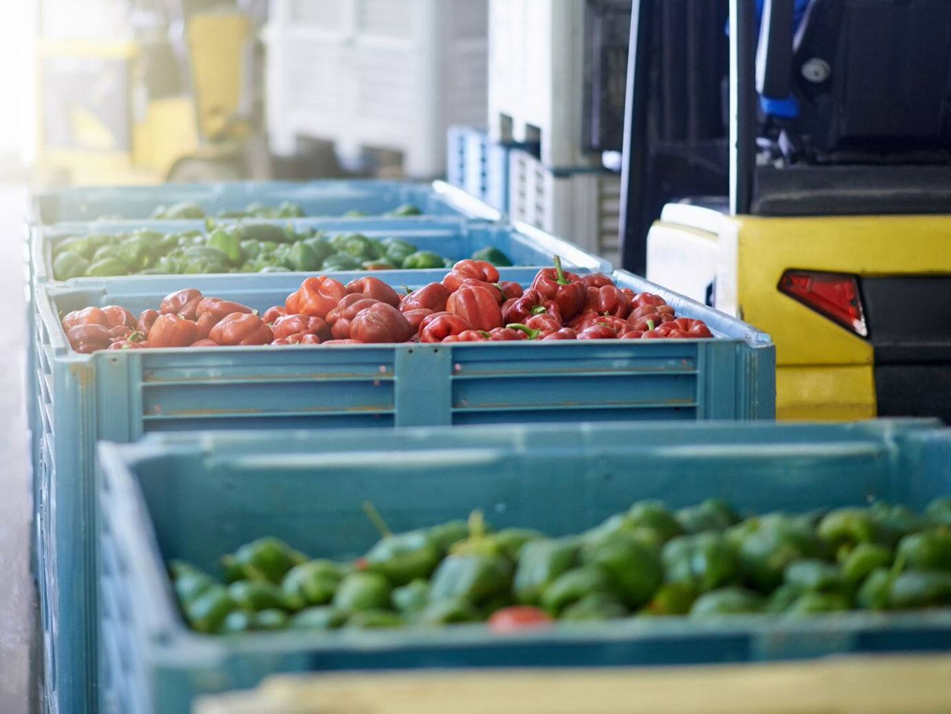 fresh vegetables in crates